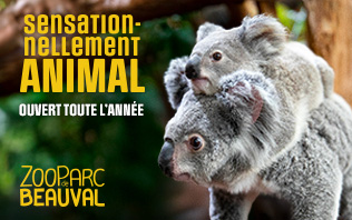 Zooparc De Beauval